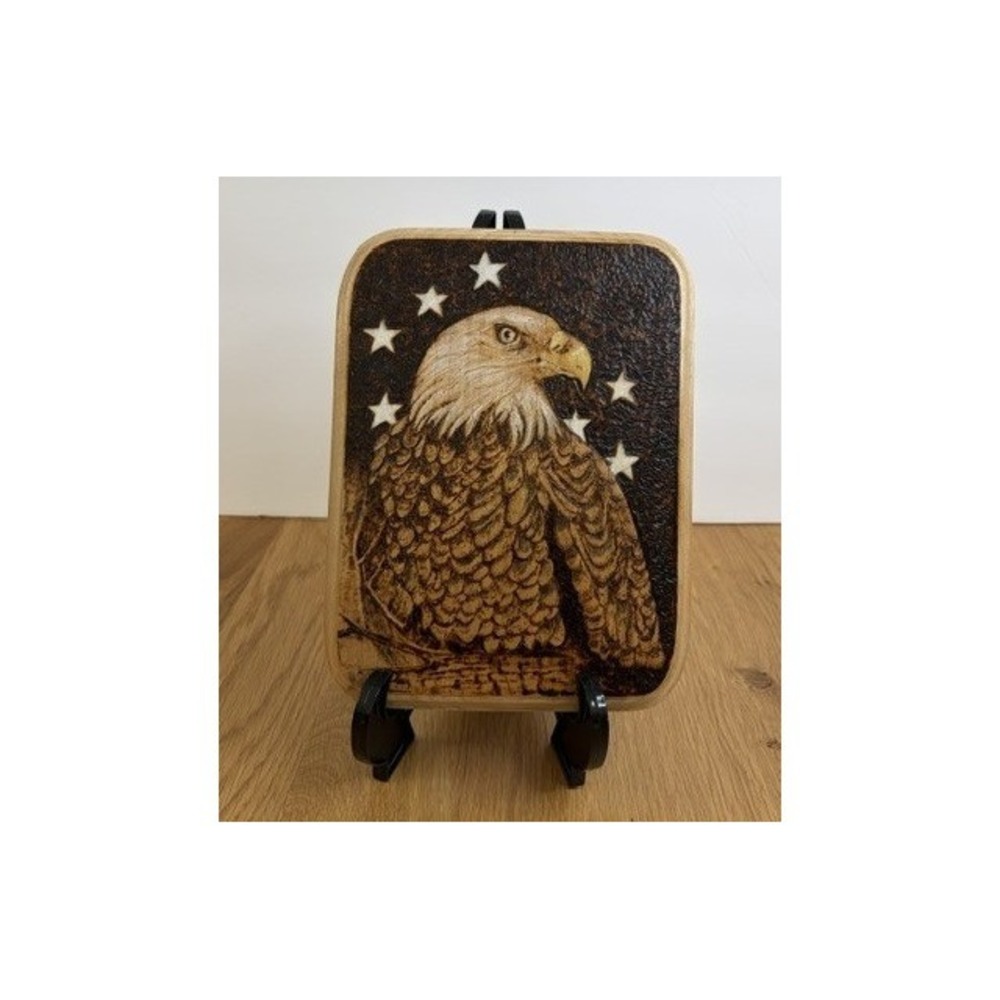 Gary Green Wood Burned Eagle Plaque Art 9x7 Brown Good Pyrography 2007 Wood